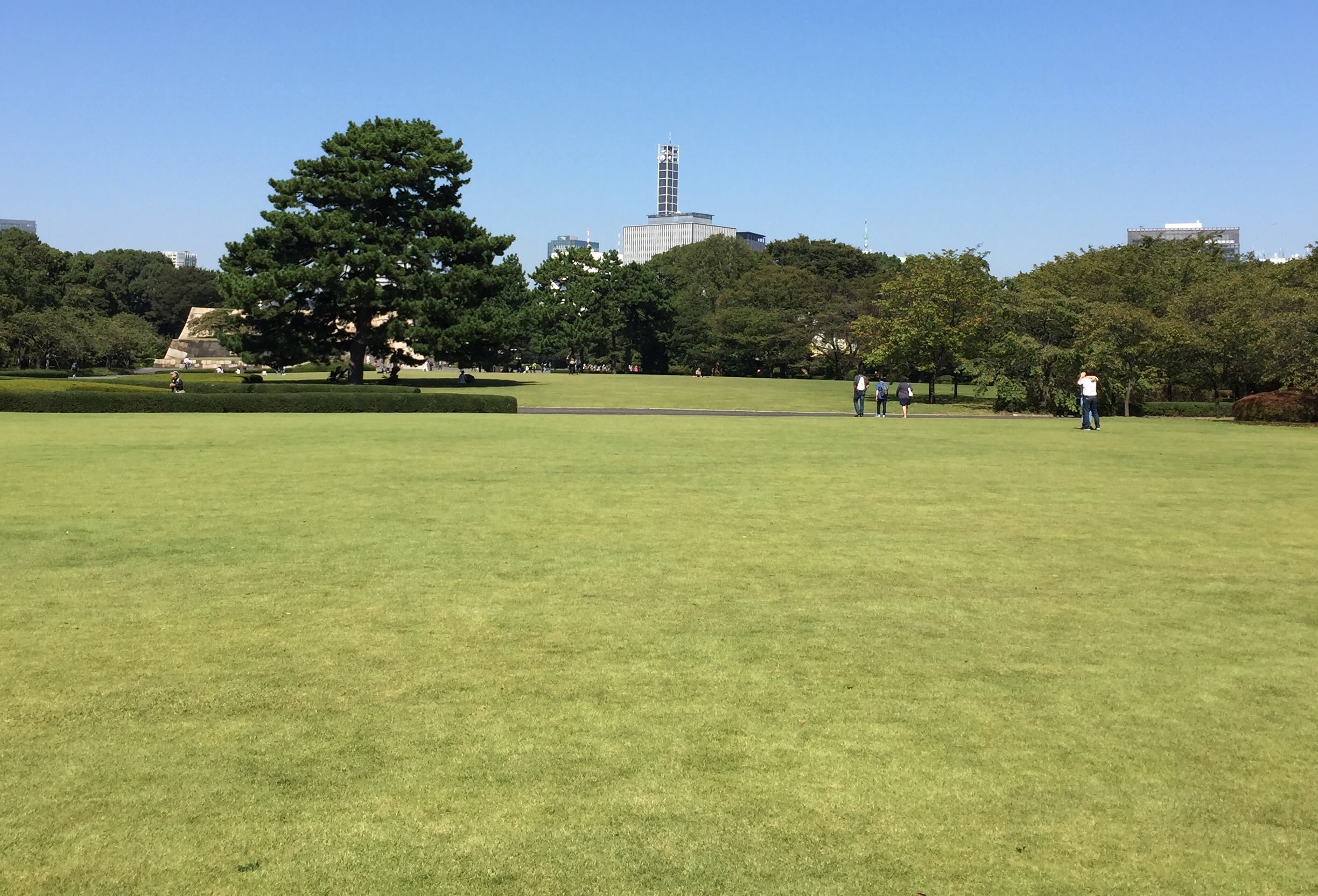 Week 2 in Tokyo